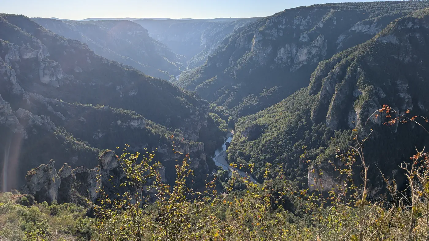 Les gorges du Tarn vues depuis le rebord du causse : falaises calcaires boisées de part et d'autre, la rivière au fond de la vallée.